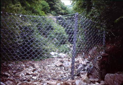 Barriere Debris Flow | Alpi Rocce srl