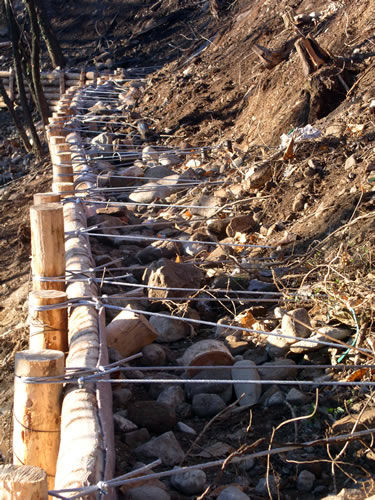Ingegneria Naturalistica | Alpi Rocce srl