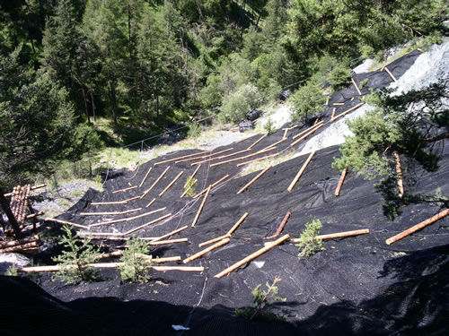 Ingegneria Naturalistica | Alpi Rocce srl
